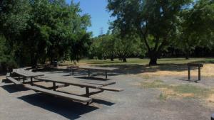 Crow Picnic Site 2