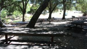 Newt Hollow 3