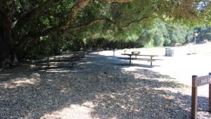 Oak Grove 3
