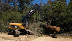 Bulldozer taking down dead tree