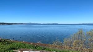 bench overlooking train tracks and water