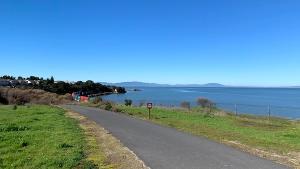 trail beside water, trees in the distance 