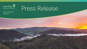Press Release