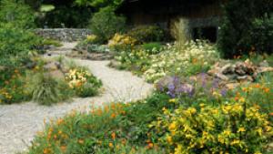 Tilden Botanic Garden