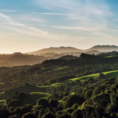 Tilden Regional Park from Inspiration Point