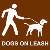 Dogs On Leash Dogs On Leash