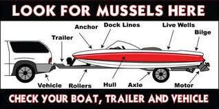 Boat Diagram