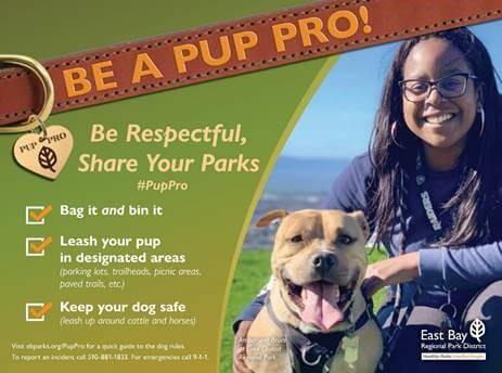 Be A Pup Pro Be A Pup Pro